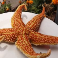 海鲜居(海滨路店) User Photo