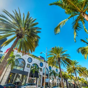 Rodeo Dr