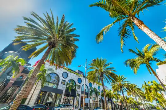 Hotels near Rodeo Dr