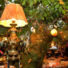 Restaurant Le Mas Provençal User Photo
