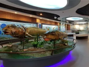 Dongji Art Museum