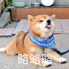 呷哺呷哺(燕郊永旺店)張用戶圖片