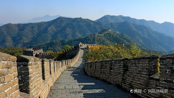 Privé groepsreis met eendaagse tour en gecharterde auto naar de Chinese Muur van Mutianyu in Beijing │ inclusief toegangsticket en 12 uur gecharterde autovervoer
