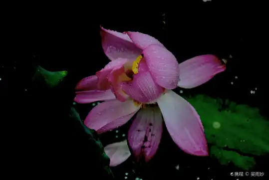 Hotels near Zhejiang Normal University