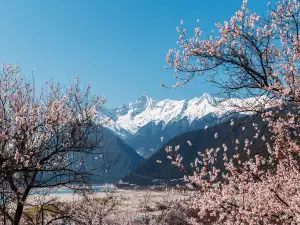 米林の人気春旅におすすめ