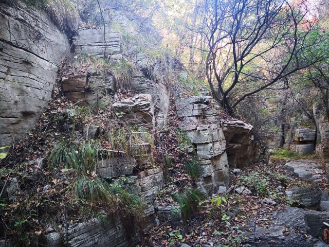 The Tianyuan Valley
