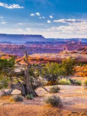 Parc national de Canyonlands