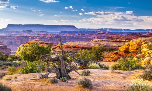Canyonlands National Park