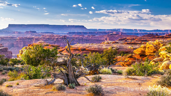 อุทยานแห่งชาติแคนยอนแลนด์