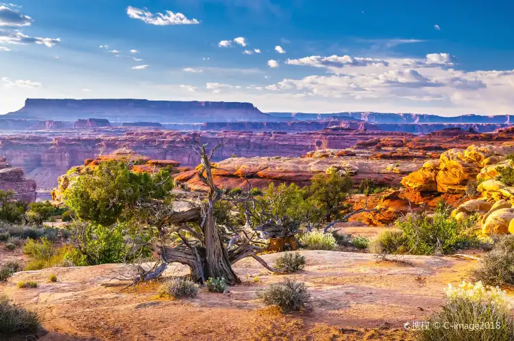 Hotels in der Nähe von Natural Bridges National Monument