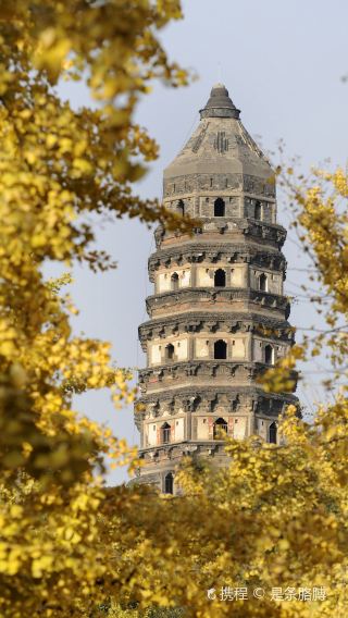 Suzhou City Highlights Day Tour | Humble Administrator's Garden (Zhuozheng Garden), Tiger Hill(Huqiu) Scenic Area, Lion Grove Garden(Shizilin Garden), Hanshan Temple