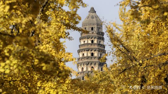 Suzhou City Highlights Day Tour|Humble Administrator's Garden, Tiger Hill, Lion Grove, Hanshan Temple