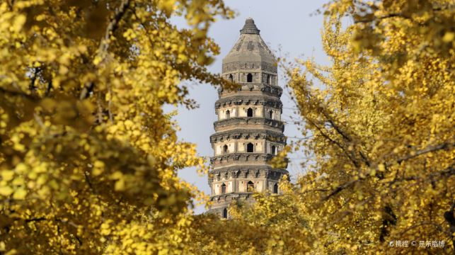 蘇州一日遊【包車含英文導遊 自選拙政園/虎丘山風景名勝區/留園/寒山寺】