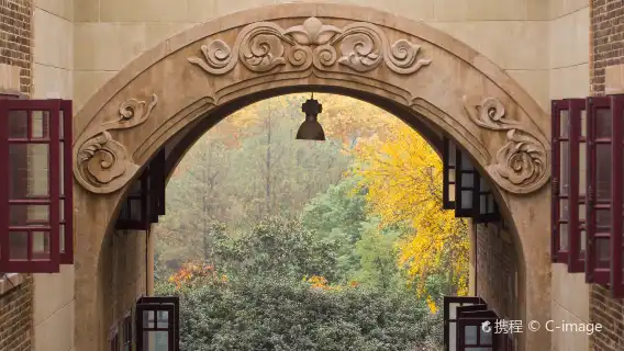 Wuhan University|Visit inside|Professional explanation|Campus Experience|Welcome to consult