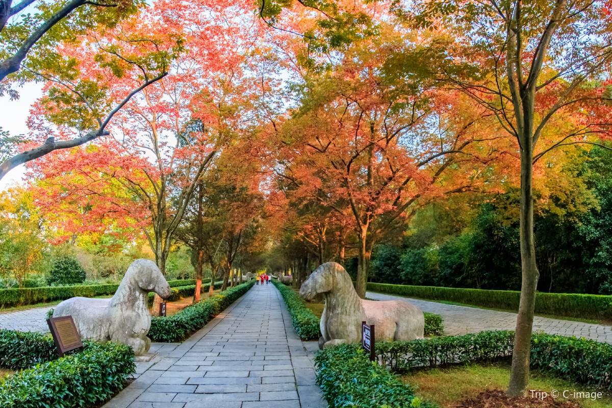 明孝陵へのアクセス情報