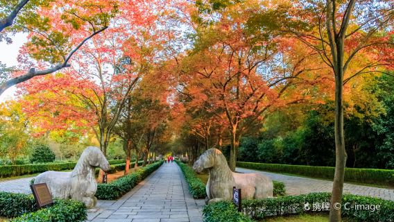 明孝陵【獨立包團2小時講解可選含入場門票+耳麥-探秘世界文化遺產】
