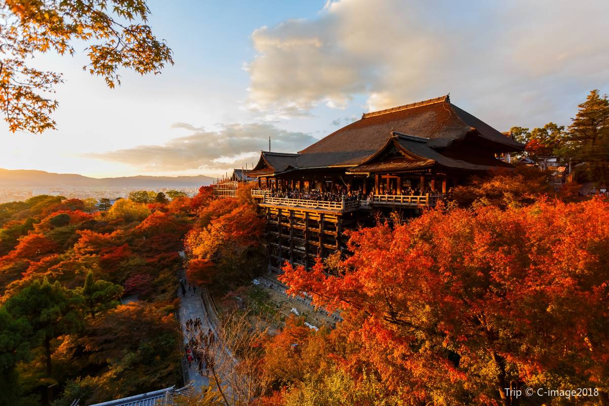 大阪氣溫 - 清水寺