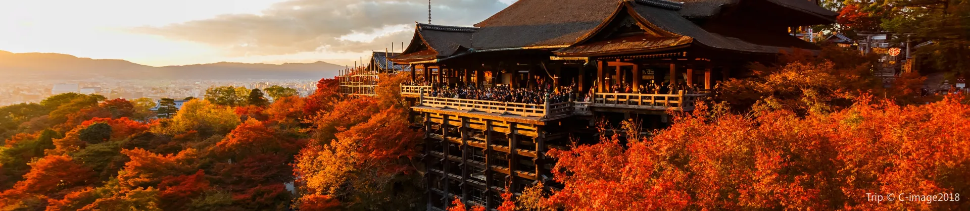 Fall Viewing Attractions