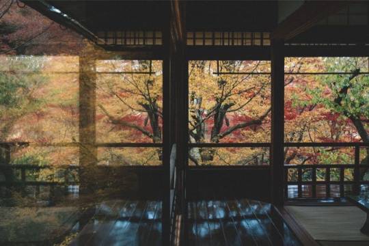 京都+清水寺+三年阪二年阪+八阪神社+瑠璃光院+三千院+祇園一日遊