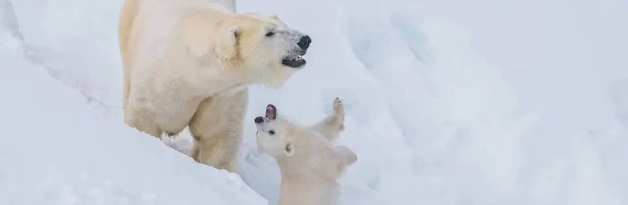 Family-Friendly Attractions