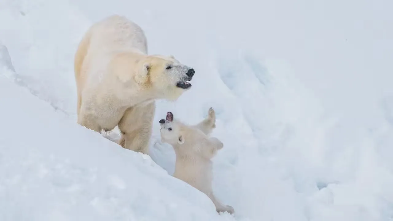 1_拉努阿野生動物園