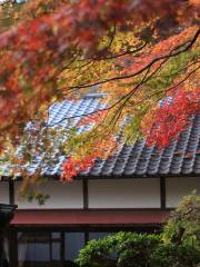 温泉寺