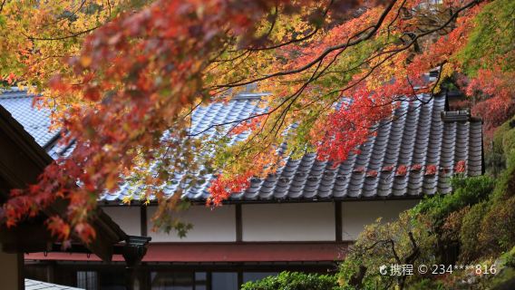 Onsen-ji Temple