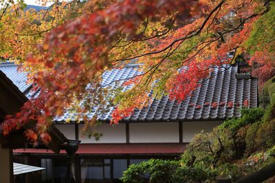 Onsen-ji Temple