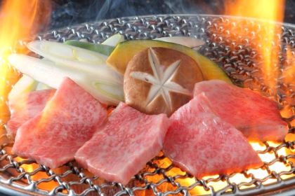 Hidagyuuittouyaginzabakuroichidai