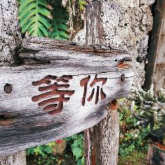 SEA STORY User Photo