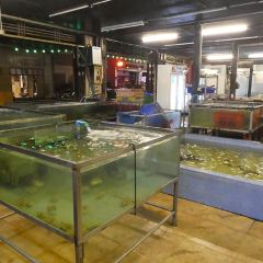 Chaolay Seafood Hua Hin User Photo