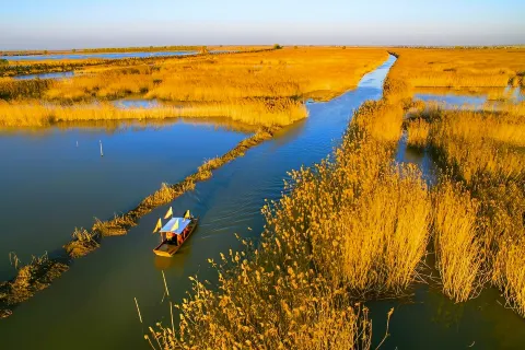 Gaoyou Lake Reed Wetland Park