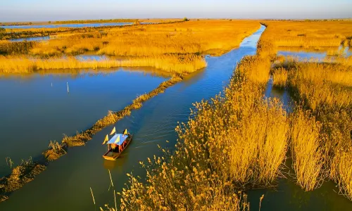Gaoyou Lake Reed Wetland Park