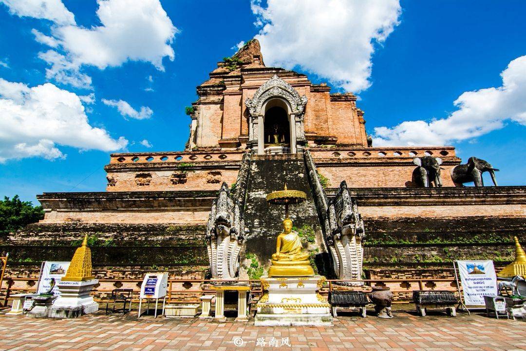 Day 4 Morning: Wat Chedi Luang