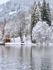 Schwarzsee Lake