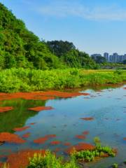 青山湖