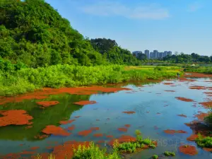 青山湖