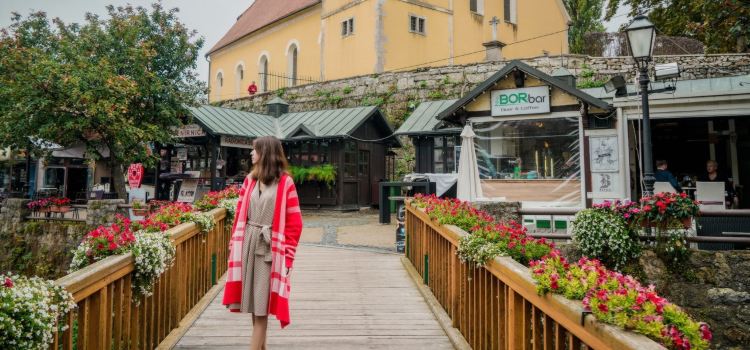 SLASTICARNICA U PROLAZU