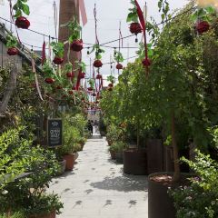 The Grounds of Alexandria User Photo