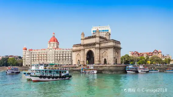 All kinds of translators, Guide , chartered private charter, photographers, business escorts, medical accompaniment, travel guides, customization