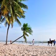 ธรรมชาติและสัตว์ป่า