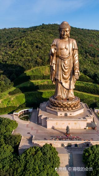 無錫靈山大佛+太湖黿頭渚風景區純玩跟團1日遊