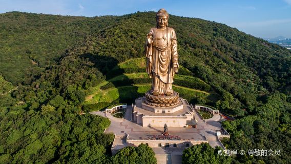 無錫靈山大佛+太湖黿頭渚風景區純玩跟團1日遊