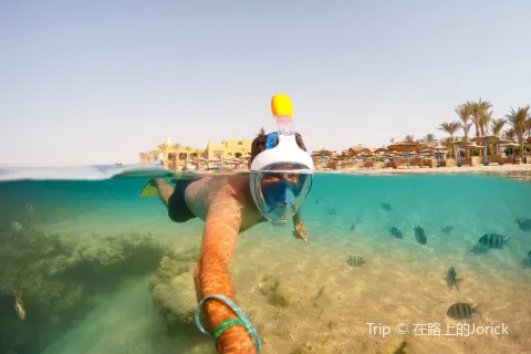 Egypt Divers