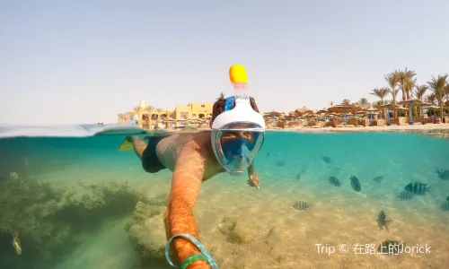 Egypt Divers