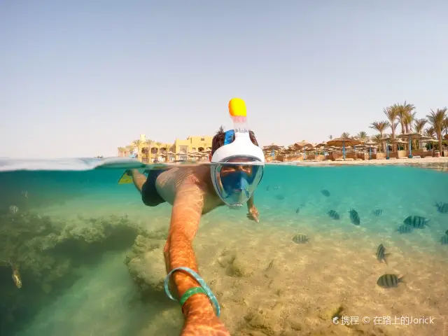 Diving in Hurghada