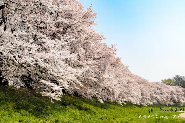 Flights from Osaka to Seoul