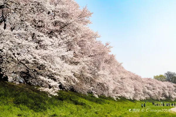 Flights from Osaka to Seoul