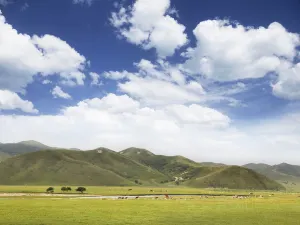 Horqin Grasslands