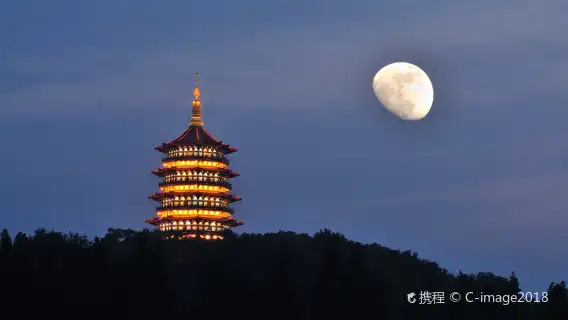 항저우 일일 투어 서호, 영은사, 뇌봉탑, 용정 차밭